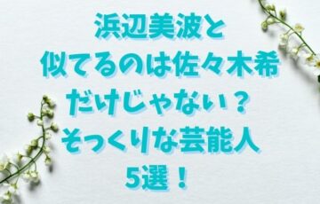 浜辺美波と似てるのは佐々木希だけじゃない？そっくりな芸能人5選！