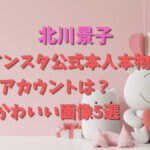 北川景子インスタ公式本人本物のアカウントは？かわいい画像5選
