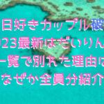 今日好きカップル破局 2023最新はだいりん？ 一覧で別れた理由は なぜか全員分紹介