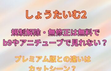 しょうたいむ2規制解除・無修正は無料でb9やアニチューブで見れない？プレミアム版との違いはカットシーン？