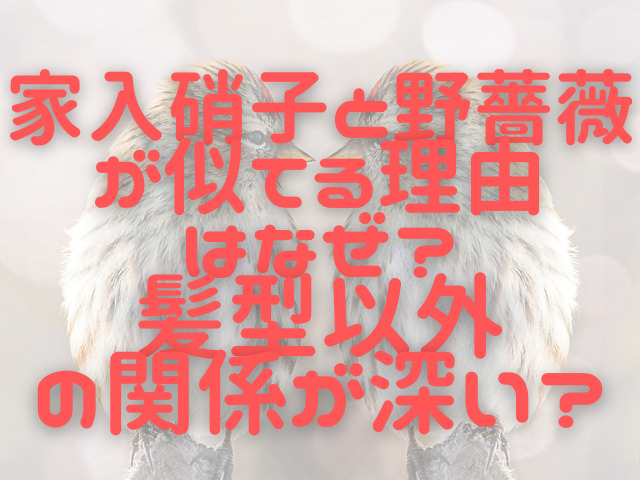 家入硝子と野薔薇が似てる理由はなぜ？髪型以外の関係が深い？