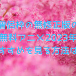 僧侶枠の無修正版の 無料アニメ2023年 おすすめを見る方法は？