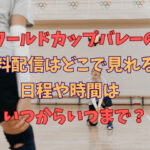 ワールドカップバレーの無料配信はどこで見れる？日程や時間はいつからいつまで？