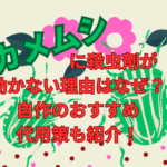 カメムシに殺虫剤が 効かない理由はなぜ？自作のおすすめ代用策も紹介！
