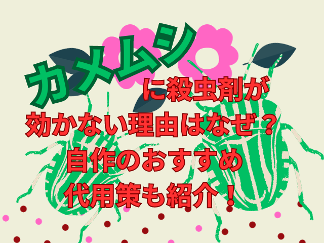 カメムシに殺虫剤が 効かない理由はなぜ？自作のおすすめ代用策も紹介！