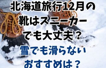 北海道旅行12月の靴はスニーカーでも大丈夫？雪でも滑らないおすすめは？